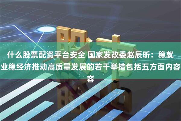 什么股票配资平台安全 国家发改委赵辰昕：稳就业稳经济推动高质量发展的若干举措包括五方面内容